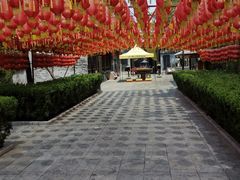 -大槐树寻根祭祖园