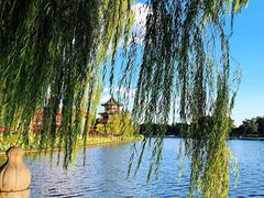 -后海公园