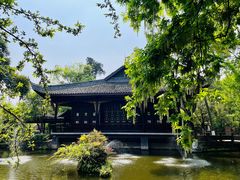 -桂湖森林公园