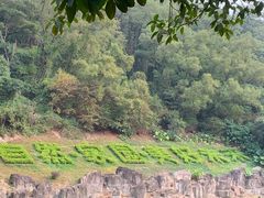 -深圳国际园林花卉博览园