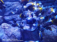 -成都浩海立方海洋公园