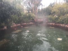 -苏州湾王焰温泉度假酒店