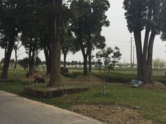 -上海多利农业发展有限公司