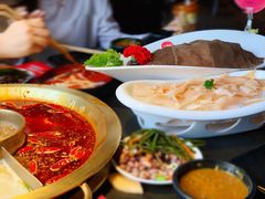 -九鼎轩脆毛肚火锅(三钢里店)