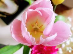 -花里花店(唐镇阳光天地店)