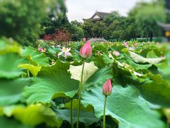 -丝绸小镇荻港古村