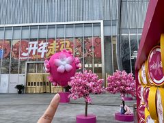 -金茂览秀城