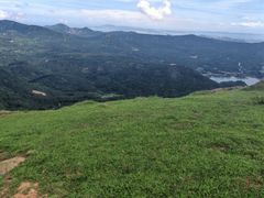 -大姆山草场