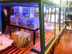 -爸爸糖手工吐司(苏州环球188店)