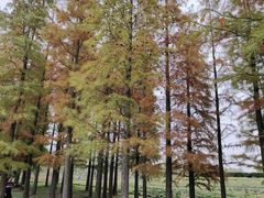 -梁鸿国家湿地公园