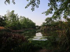 -白鹭湾湿地公园