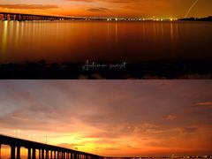 -宝安西湾红树林湿地公园