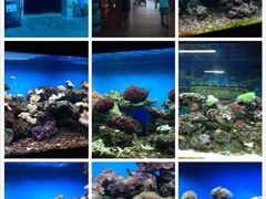 iphone_upload_pic-御唐府海珊瑚主题餐厅