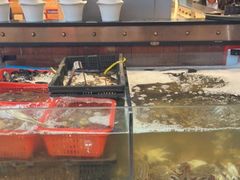 -亚马逊环球美食百汇(新城吾悦广场店)