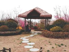 -西海岸生态观光园