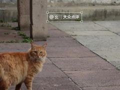 -豫园