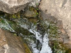 -中国茶叶博物馆(双峰馆区)