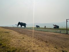 -186彩带河