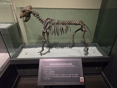 -大庆市博物馆