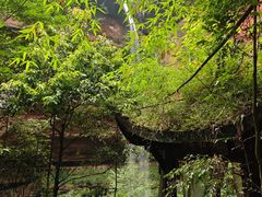 -沐川竹海旅游景区