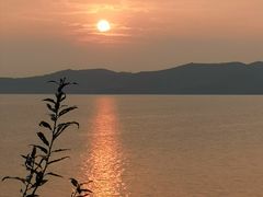 -上海市保健医疗中心