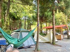 -重庆睡佛山森林公园