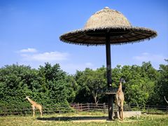 -济南野生动物世界