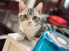 -贝康宠物医院·犬猫全科·小动物特色诊疗中心(东环路店)