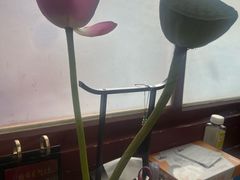 -中卫御苑福膳·养生局(圆明园店)
