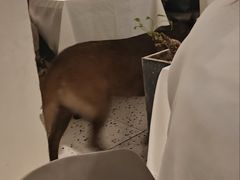 -春树下·树屋花房西餐厅(罍街AS1980店)