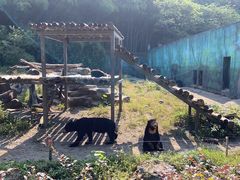 -宁波野生动物园
