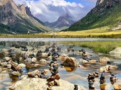 -莲宝叶则景区