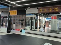 -臻元搏击格斗泰拳拳馆(港隆店)