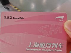 -龙阳路磁悬浮列车总站-停车场