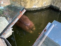 -灵玲国际马戏城