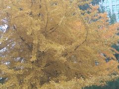 -辽宁大学(崇山校区)