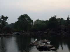 iphone_upload_pic-山东大厦