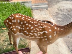 -大连森林动物园