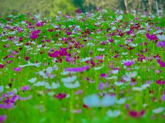 -北沙滩(地铁站)