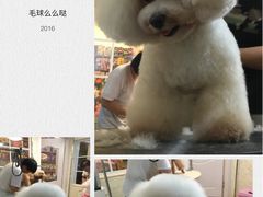 -喵汪宠物生活馆(涞坊路店)