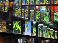-广东中医药博物馆