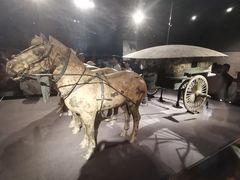 -秦始皇帝陵博物院-丽山园