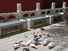 -潭柘寺景区
