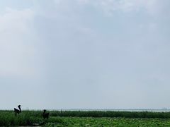 -苏州东太湖生态园