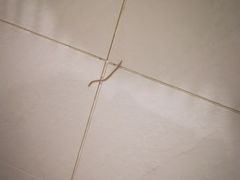 -威尔仕健身(番禺店)