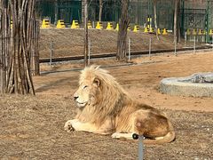 -秦皇岛野生动物园