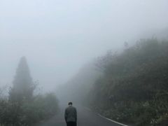 -武陵山森林公园