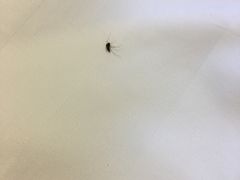 -太湖湾开元名庭大酒店