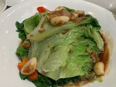 -金鼎轩(方庄天坛店)
