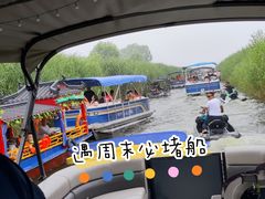 -白洋淀景区